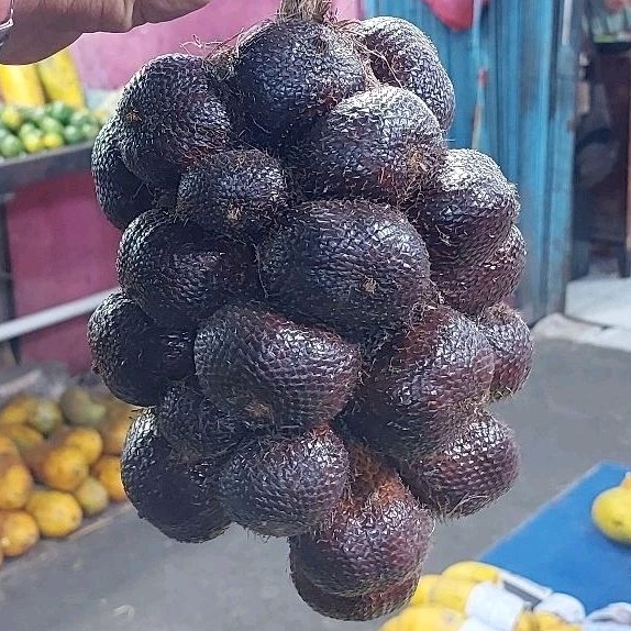 

Salak pondoh manis dan segar langsung dari kebun