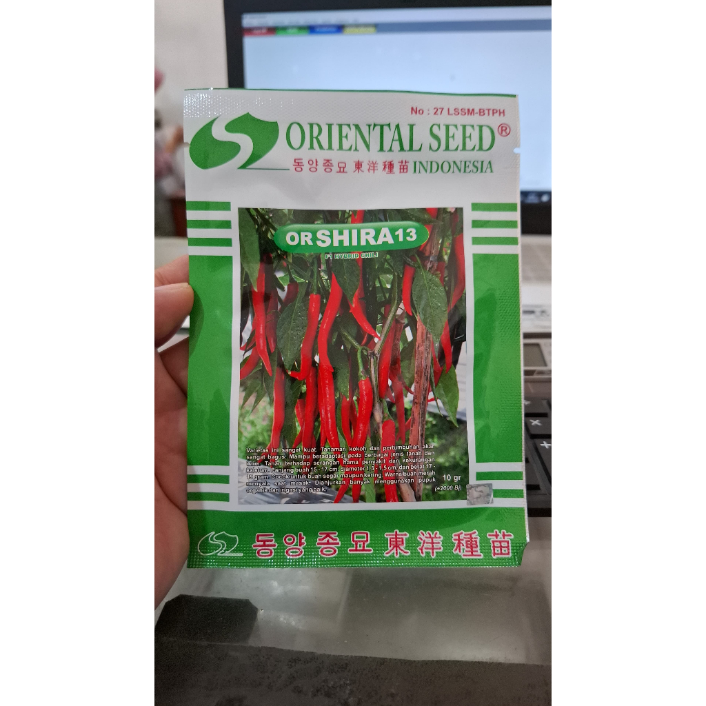 BENIH CABE BESAR OR SHIRA 13  TERLARIS