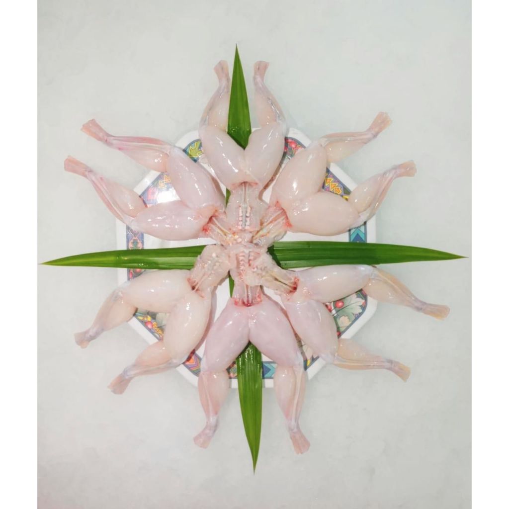 

PAHA KODOK - FROGLEGS SUDAH DIBERSIHKAN