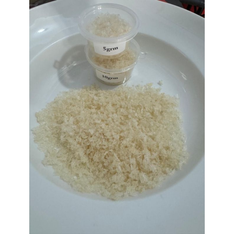 

Snow bird nest /Sarang Burung Walet Bersih Original/Collagen Nutrisi Walet Halal