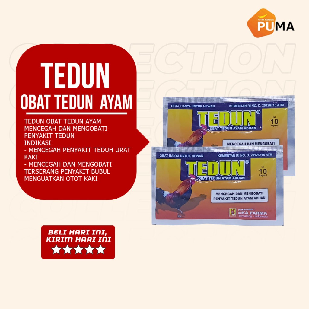 TEDUN 10 Kapsul - Obat Ayam Aduan Menguatkan Otot Nafas Panjang Bubul