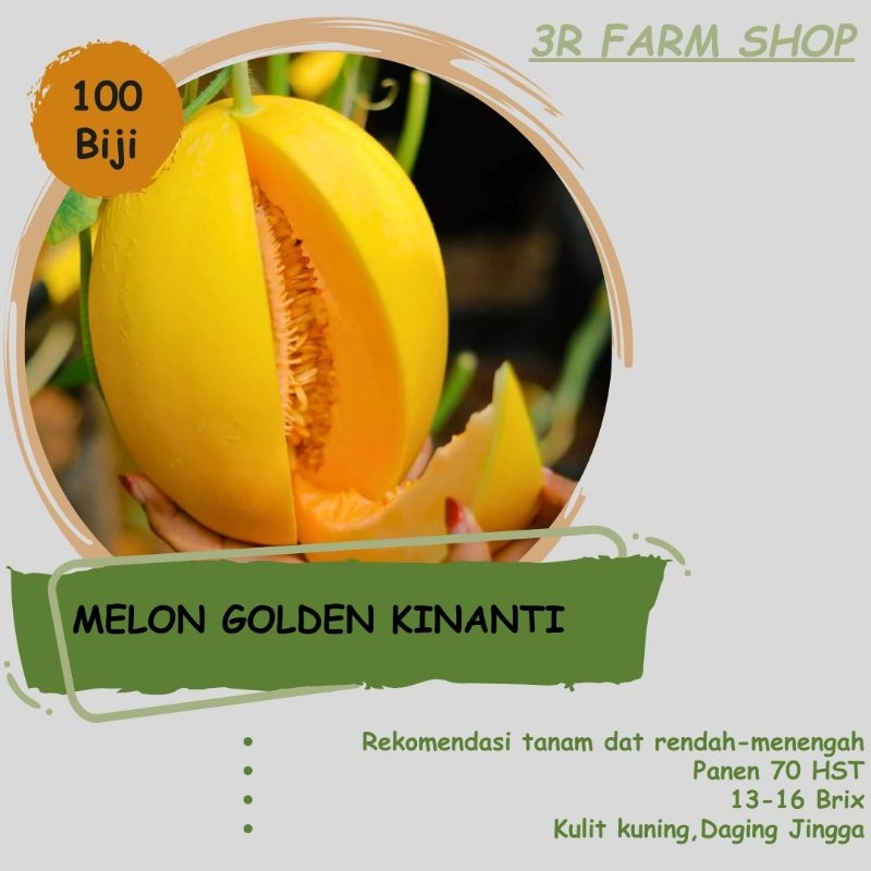 Benih Melon golden KINANTI F1 kemasan REPACK 100 Biji
