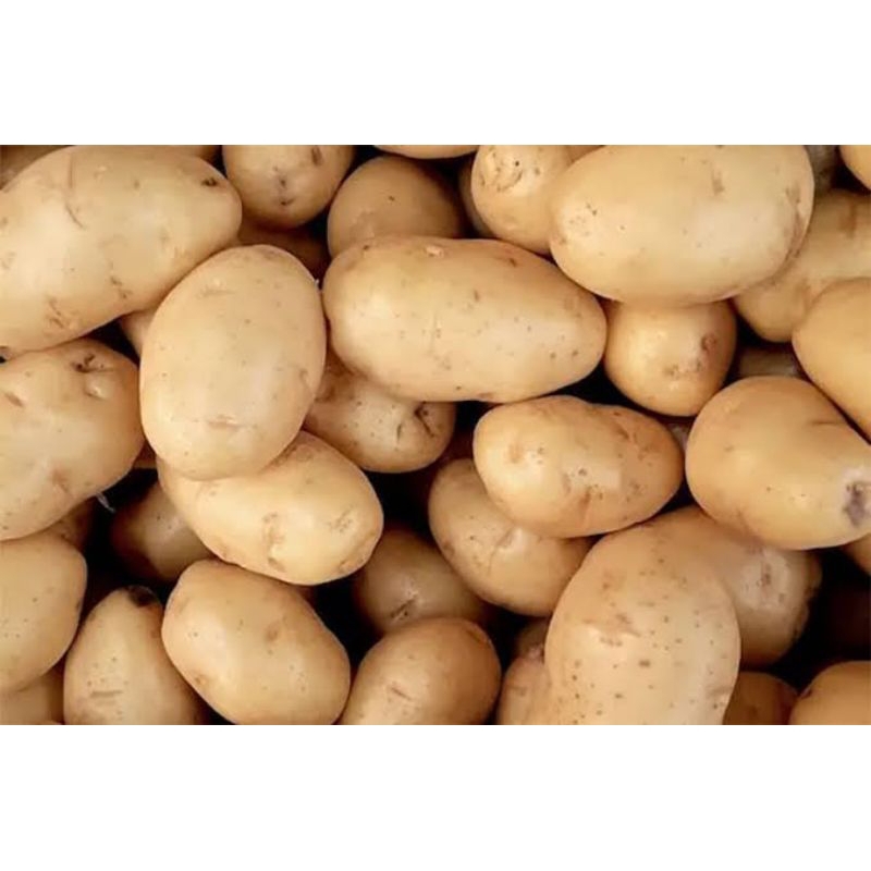 

kentang 500 gram & 1 kg