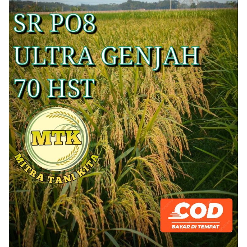 BENIH PADI SR PO8 ULTRA GENJAH umur 70 hst kemasan 5 kg original