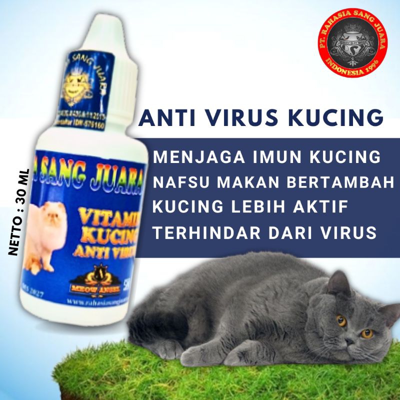 ANTI VIRUS KUCING || VITAMIN ANTI VIRUS KUCING 30ml - Rahasia Sang Juara