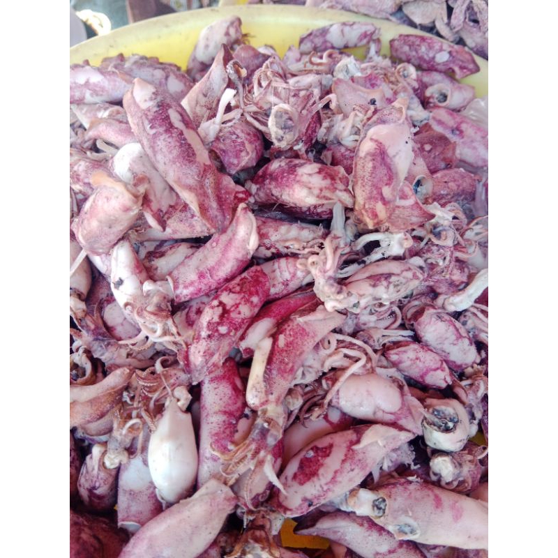 

cumi asin 500gram 68000