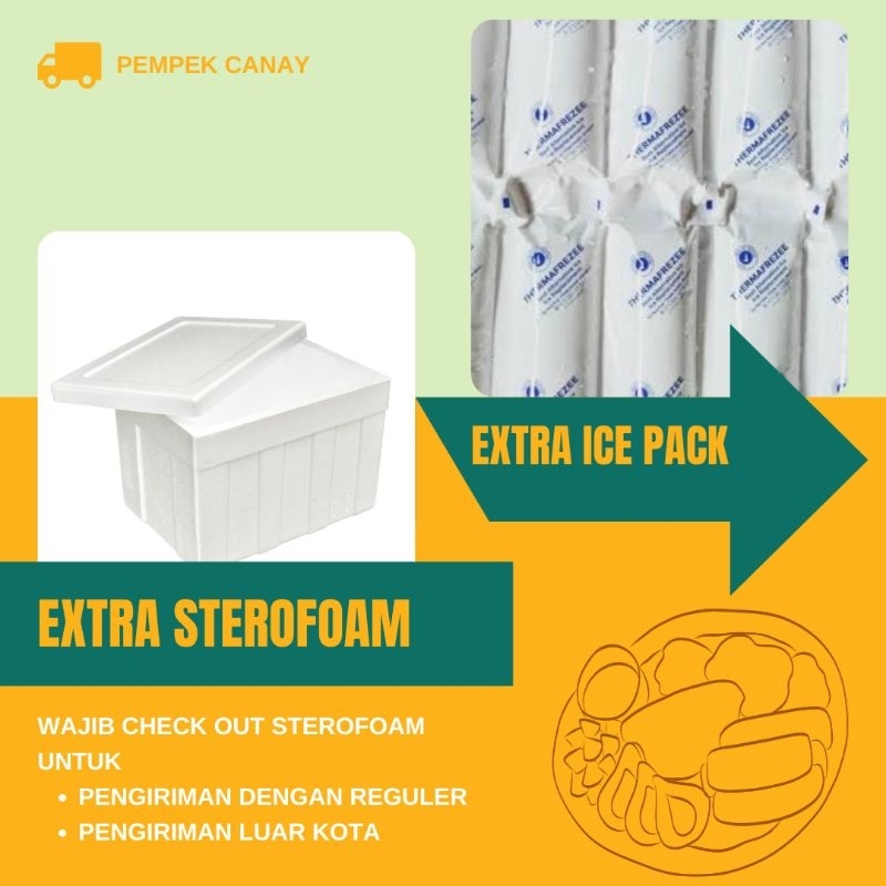 

Extra Sterofoam dan Ice Pack Untuk Packing Luar Kota