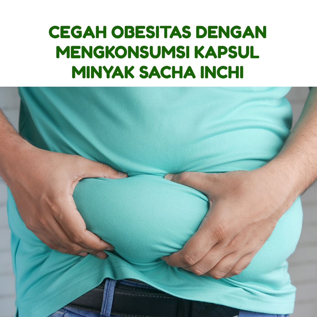 Jual Herbal Pencegah Obesitas Oil Bintang Sachi