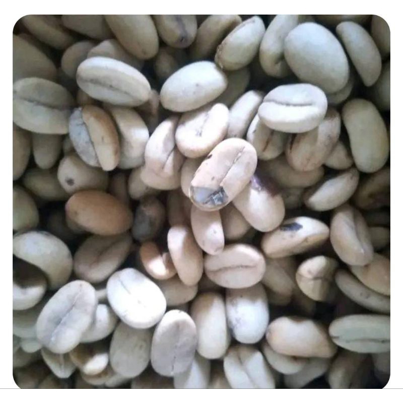 

Kopi Arabica Colol Flores Manggrai Timur