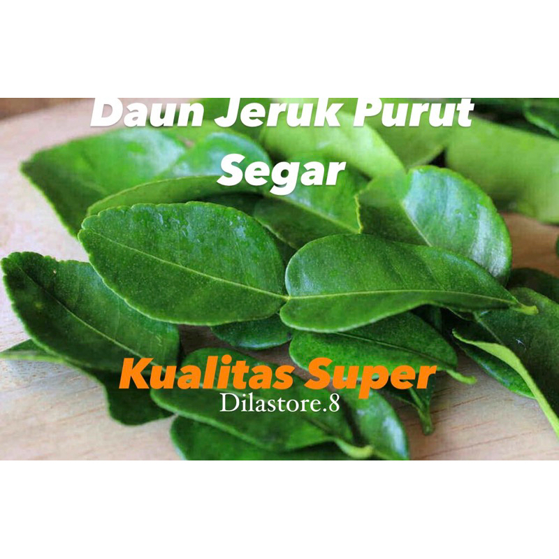 

Daun Jeruk Purut Segar 100 Gram