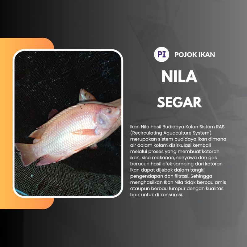 

Pojok Ikan, Nila Segar Paket 500 Gram