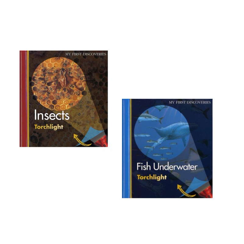 My First Discovery Torchlight