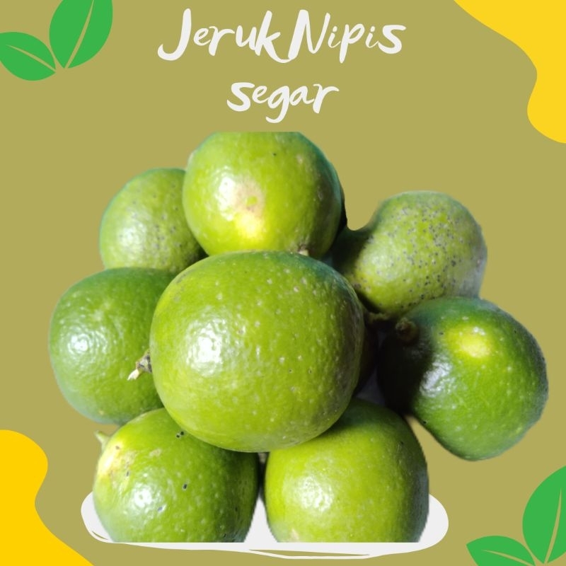 

Jeruk nipis segar | 1kg