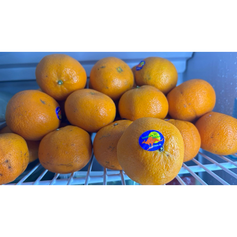 

jeruk sweet mandarin