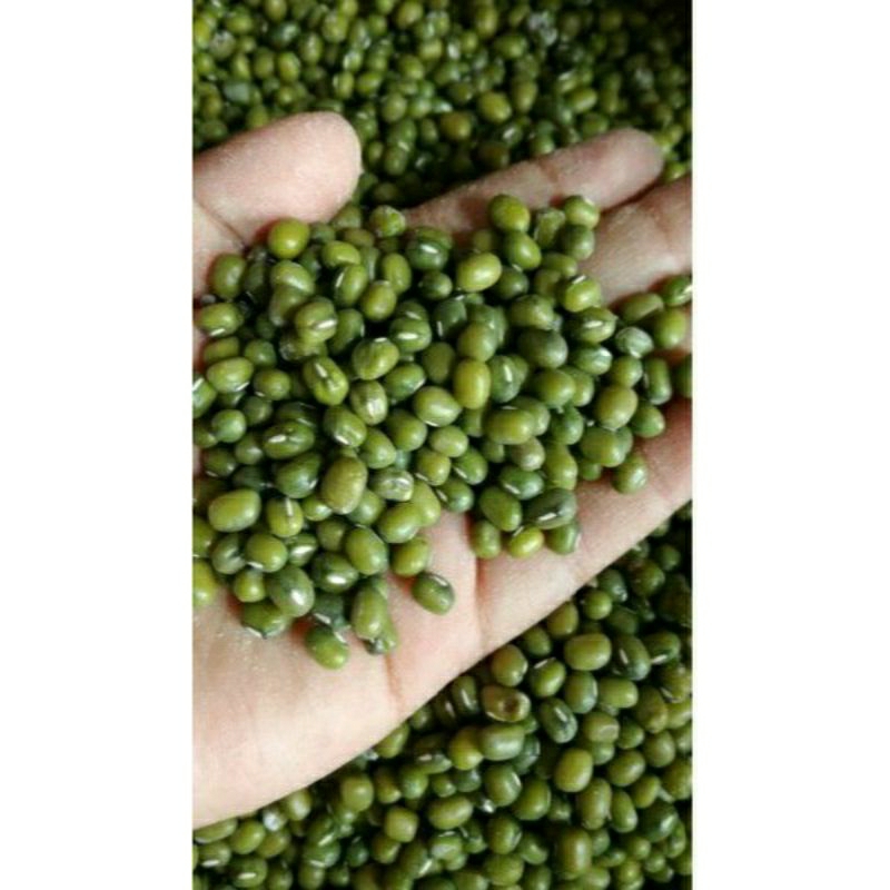 

Kacang Hijau Kemasan 1 kg Kacang Hijau Kualitas Super Kacang Hijau Lokal Kualitas Terbaik 1 kg Kacang hijau Lokal