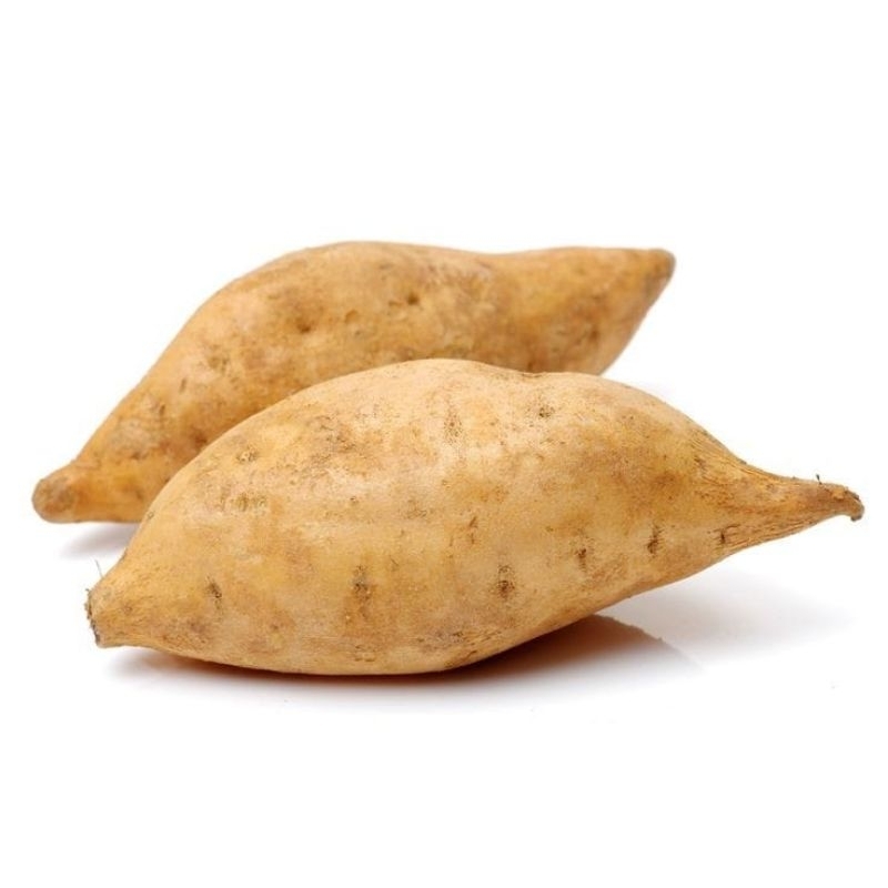 

Ubi Madu Cilembu