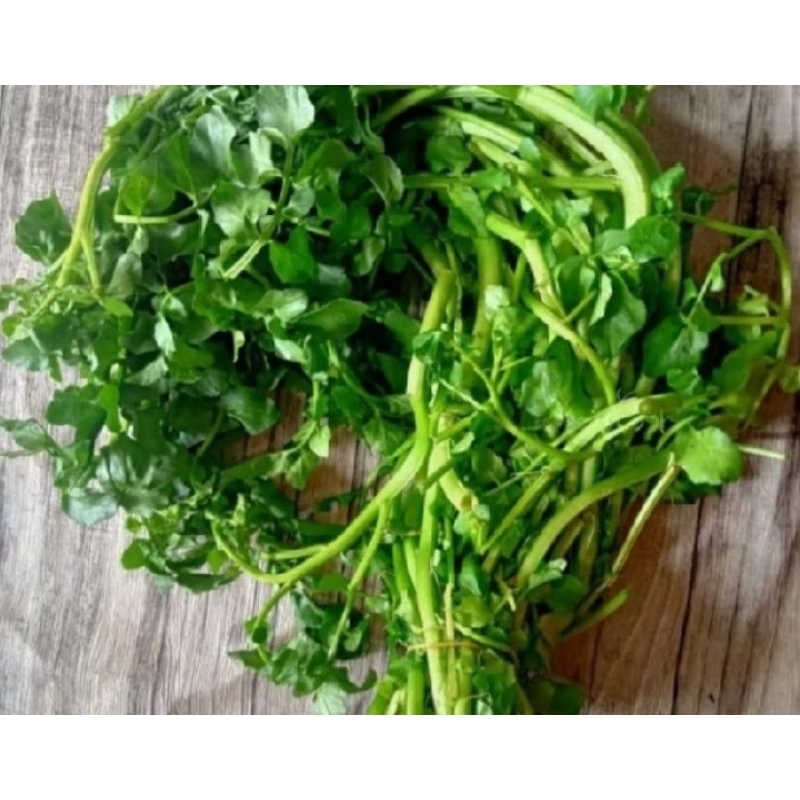 

Seladah Air / 1 Iket