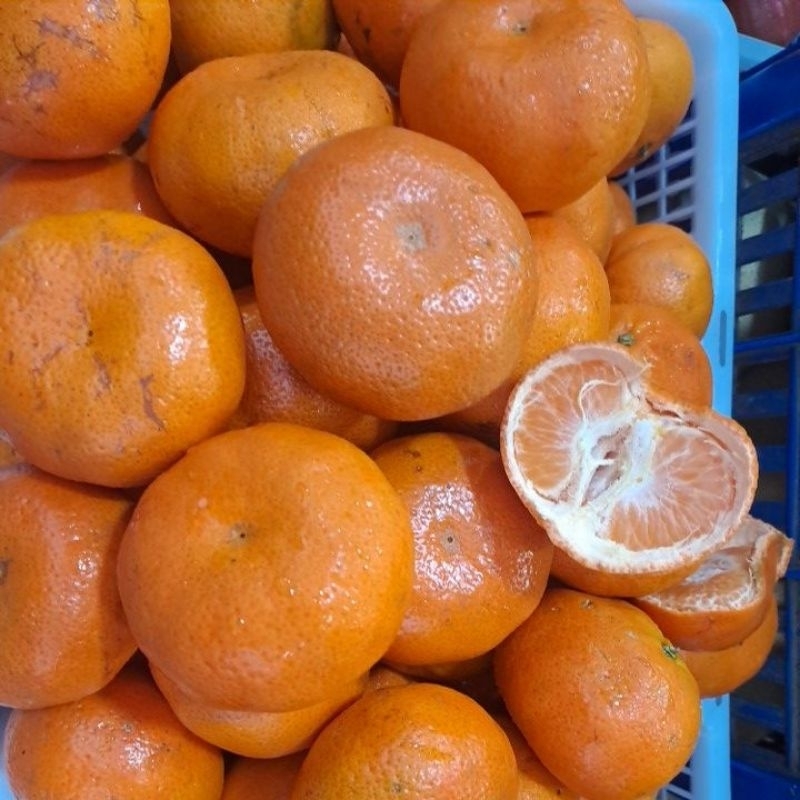 Jeruk kino Mandarin