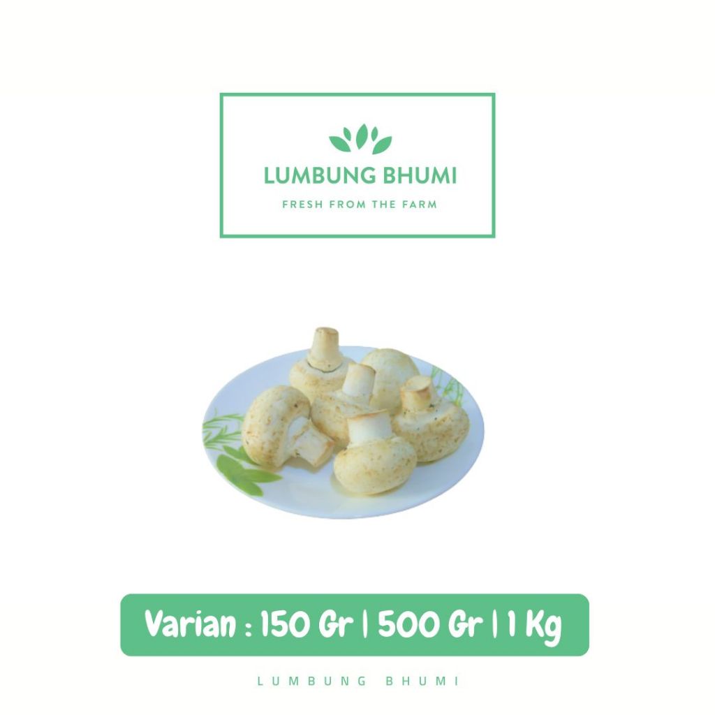 

Jamur Kancing Champignon Sayur - Lumbung Bhumi