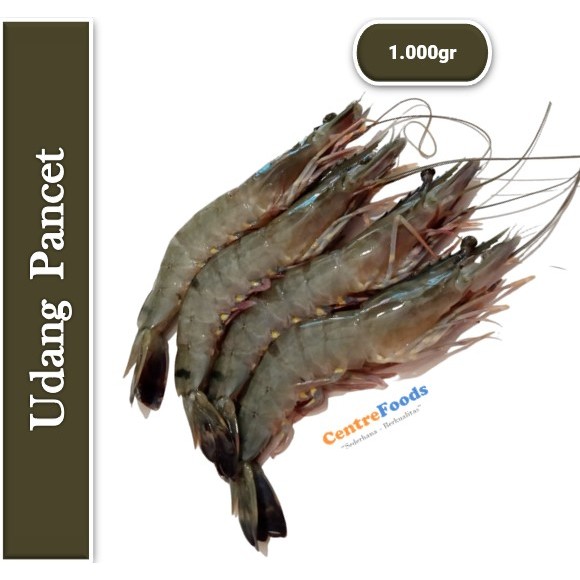 

Udang Pancet - Udang Windu Fresh | Size S - 1.000gr [ Harga Per KG ]