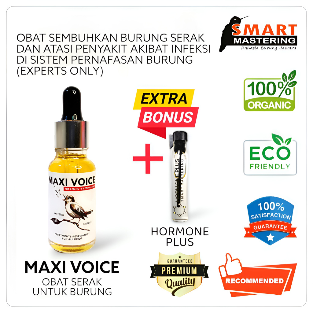 MAXI VOICE Obat Burung Serak Ampuh Sembuhkan Suara Burung Serak (Terbaik, Effective, Best Seller)