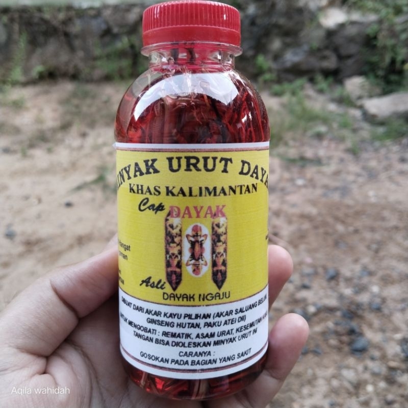 Minyak Urut Dayak Khas Kalimantan Asli Dayak Ngaju