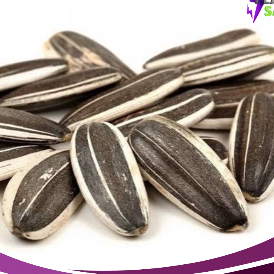 

HARI INI SAJA DISKON BIG Kuaci Biji Bunga Matahari 25GRAM Sunflower Seed kwaci matang curah kaya kuaci R3bo Original