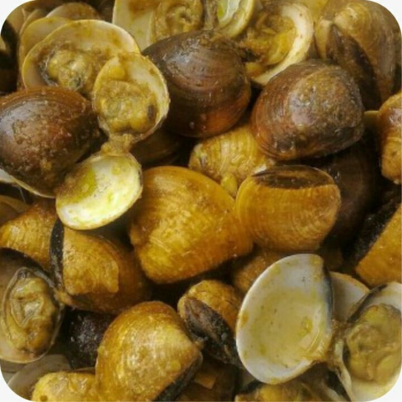 

Kerang Tahu/Kerang Tahu Frozen/Seafood Frozen/Seafood Siap Saji berat 370gr (Termasuk Bumbu)