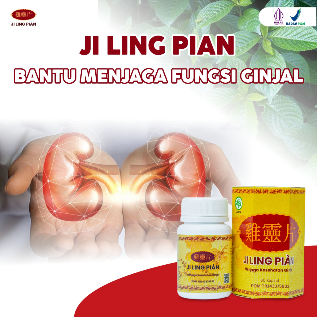 Ji Ling Pian Bantu Menjaga Fungsi Ginjal