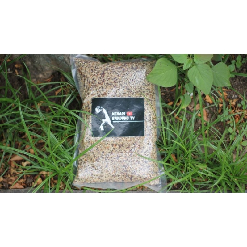 PAKAN KILOAN BERSIH KENARI BANDUNG TV
