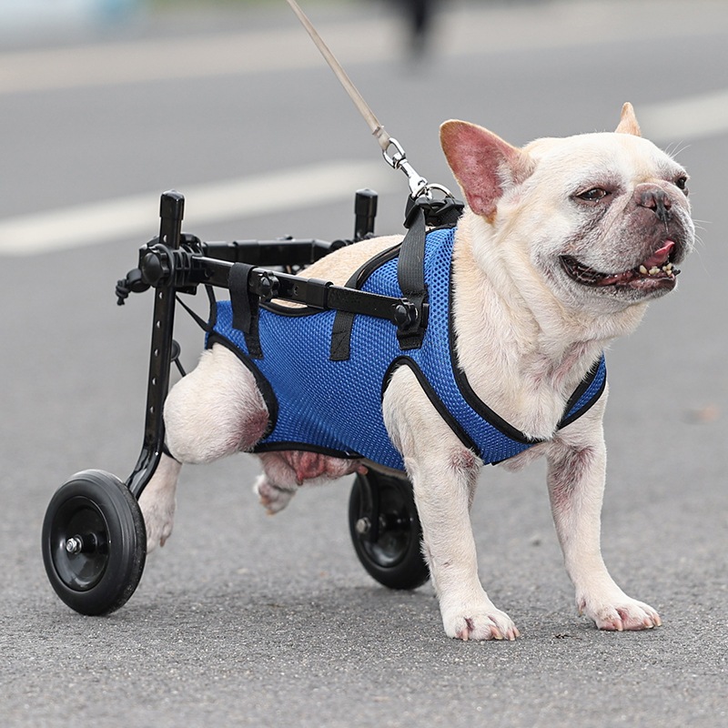 Pet Wheelchair / Kursi Roda 2 wheel /Alat Bantu Jalan  Kucing Anjing Kecil / Kursi Roda Alat Mobilit
