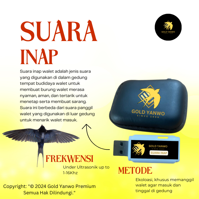 Suara Inap Walet by Gold Yanwo PREMIUM