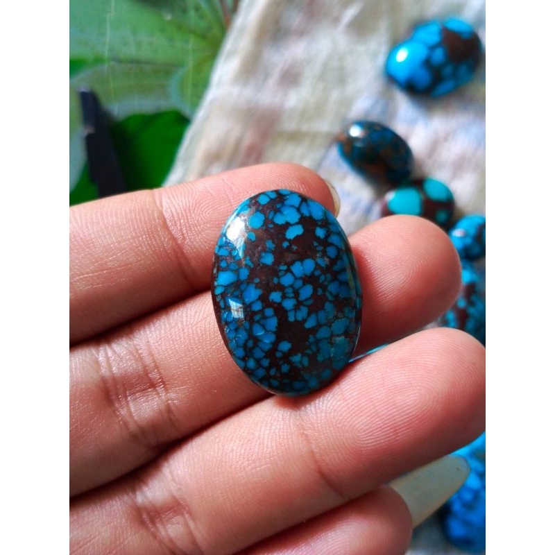 pirus mesir original