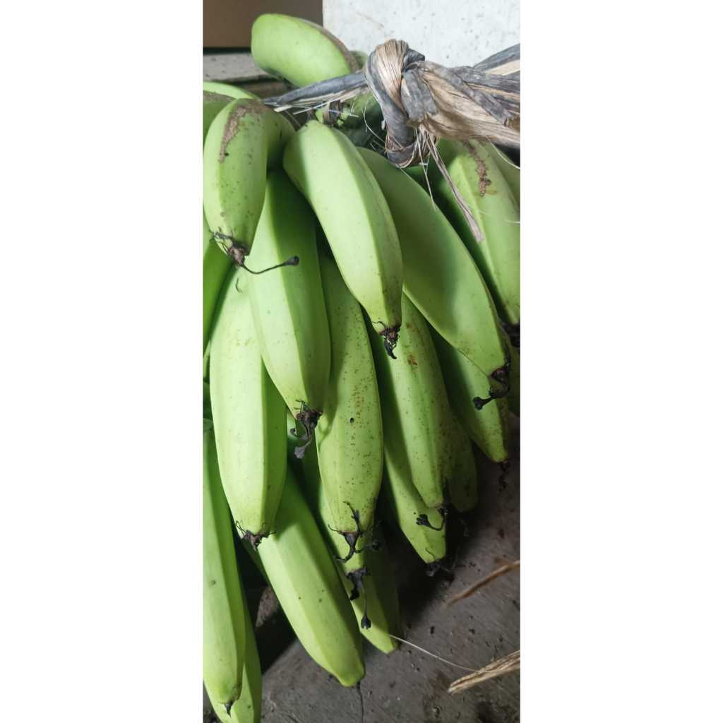 

PISANG AMBON CAU AMBON FRESH 1 KG