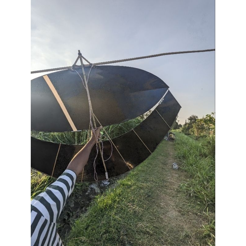layangan pegon ceper 1.5 meter