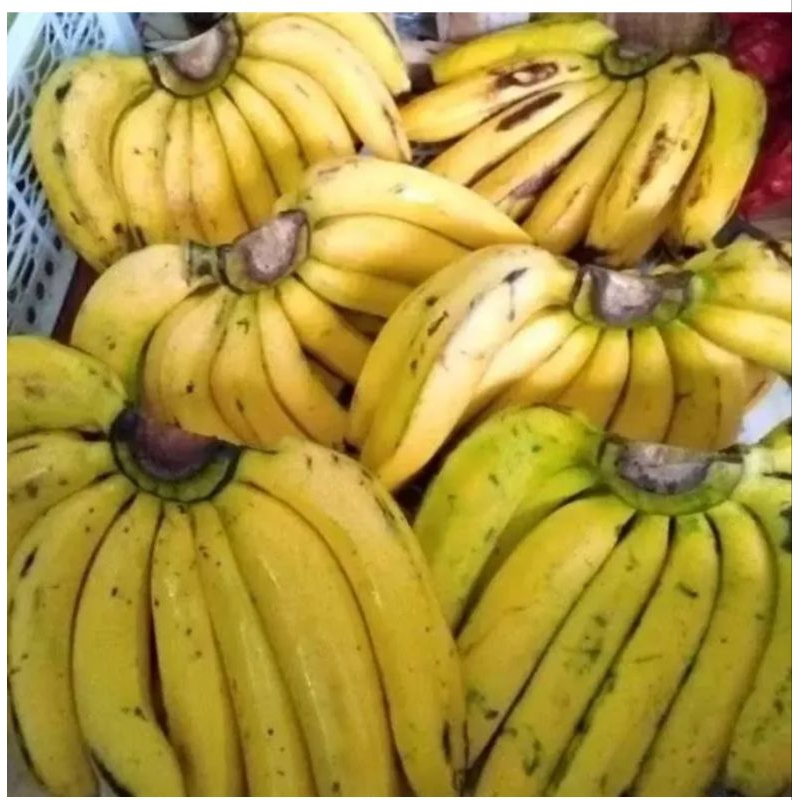 

pisang ambon ±1kg