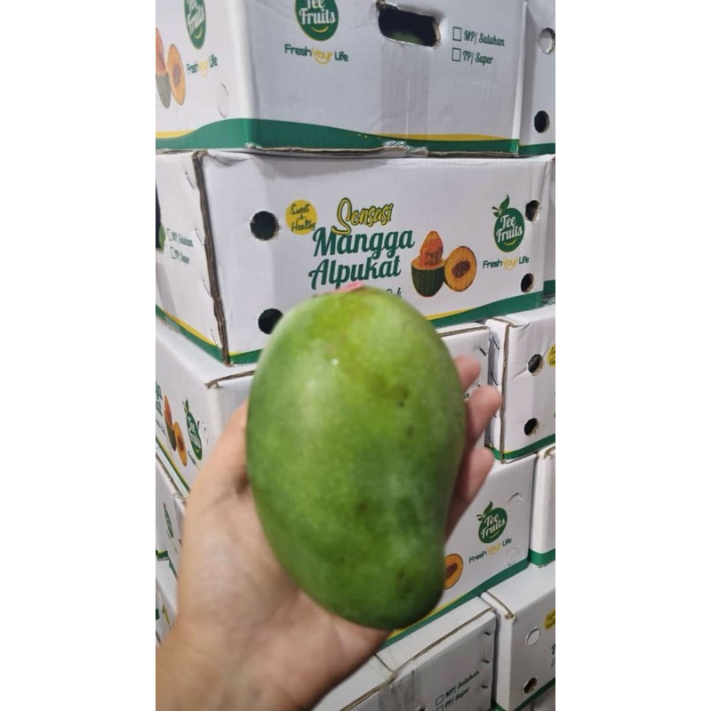 

Mangga Alpukat Premium