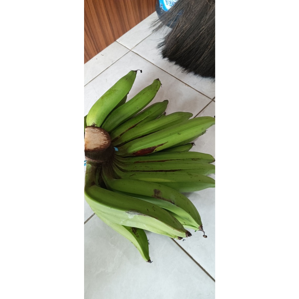 

PISANG NANGKA TUA SIAP MATANG 1 KG