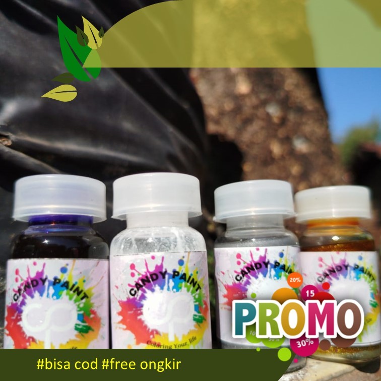 

(OLES) 12,5 ML Cat Akrilik Set Acrylic Paint Set 12 Warna Cat Akrilik Set Kanvas Lukis Paint