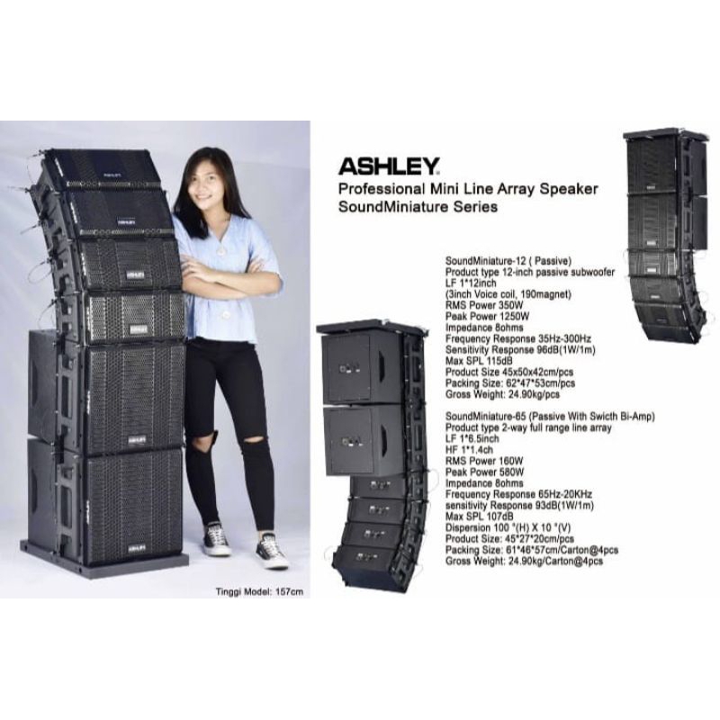 Speaker Line Array Ashley Mini Soundminiature Series array 6.5 Inch Sub 12 inch Passive Original