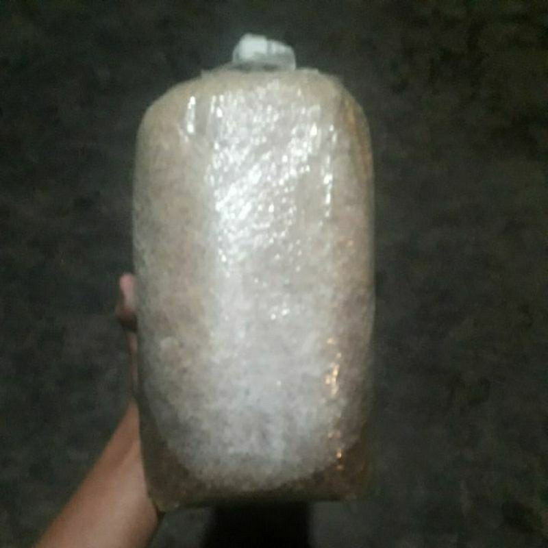 

BAGLOK JAMUR TIRAM SUPER JUMBO KUALITAS DIJAMIN BAGUS HASIL PANEN LEBIH BANYAK DAN BESAR BESAR