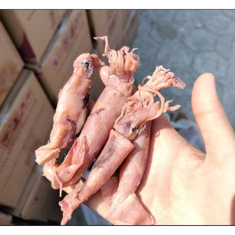 

Cumi Asin Kering 500gr