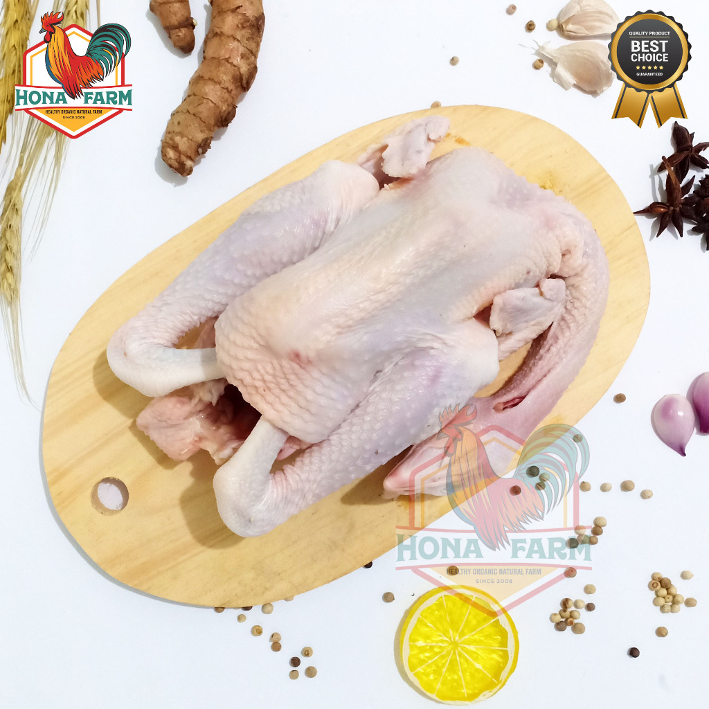 

Hona Farm Ayam Kampung Organik Probiotik 600-699gr (UTUH)