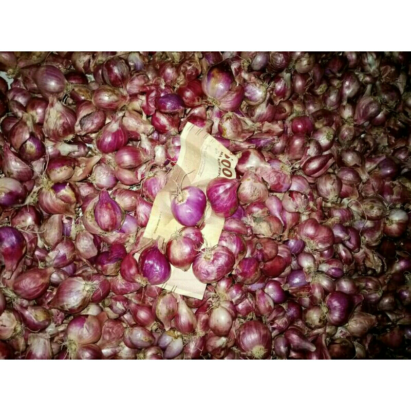 

bawang merah 500g