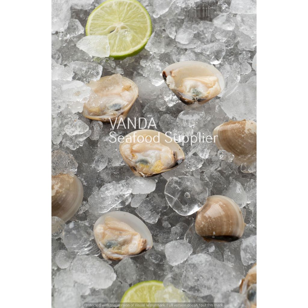 

Kerang Tahu Frozen @ 500 gram