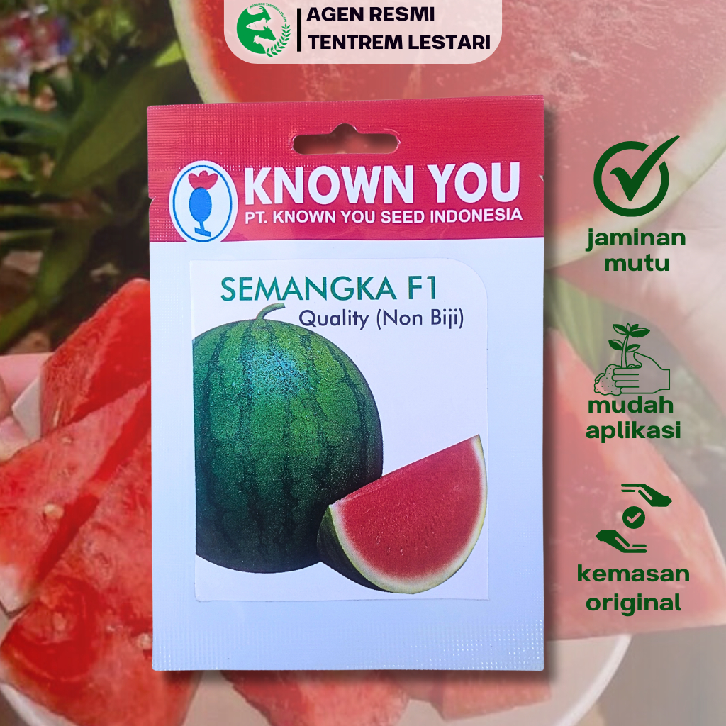Benih Semangka F1 QUALITY 3 seed Known You Seed Tanpa Biji