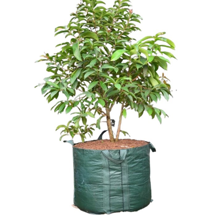 Planter Bag Pot Bonsai 200 Liter Pot Bunga Plastik Pot Tanaman Hias Planter Bag Pot Besar PlanterBag