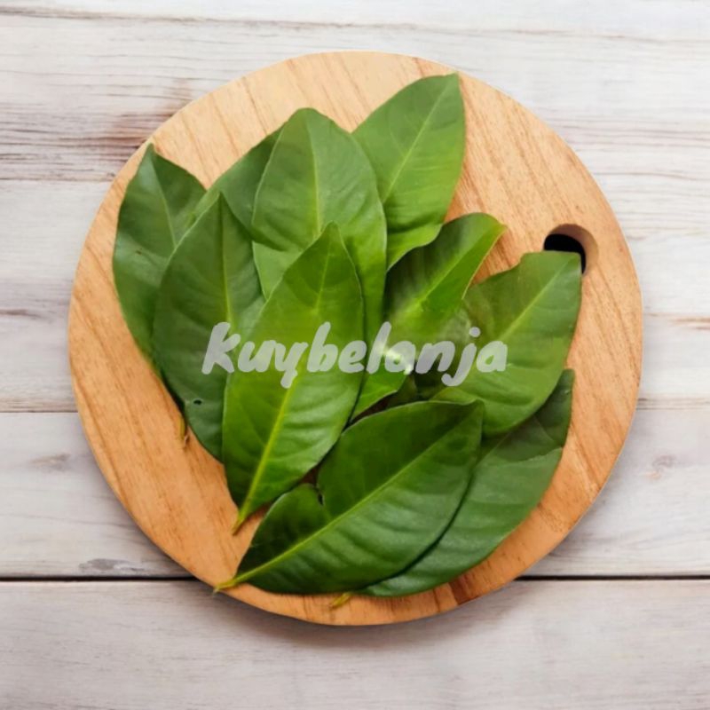 

Daun Salam Segar 10 Lembar /Rempah/Sayur sayuran