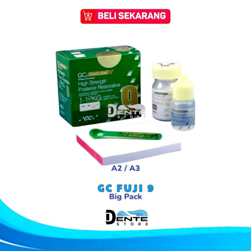 GIC GC FUJI 9 BIG PACK BESAR