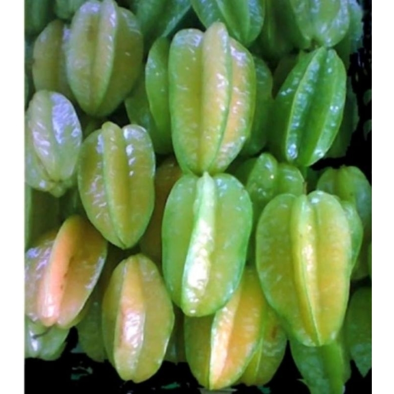 

belimbing 1000 g fresh